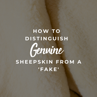 How to distinguish genuine sheepskin from a &#8216;fake&#8217;