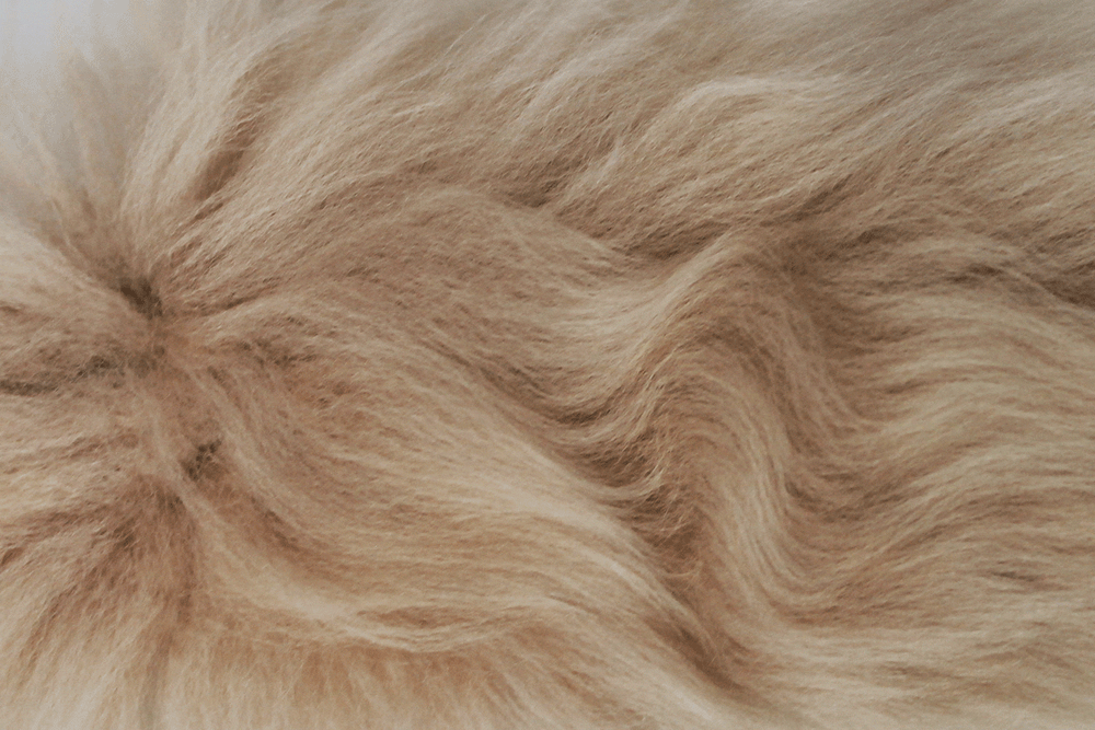 Slipkit Pick and Mix Sheepskin