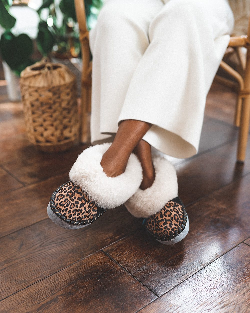 The leopard Sheepers
