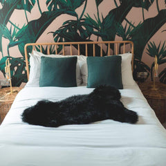 Black Long Hair British Sheepskin Rug - Large 120x60cm - Luxurious Soft Wool