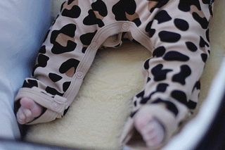 PRAM2.gif