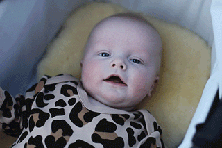 PRAM3.gif