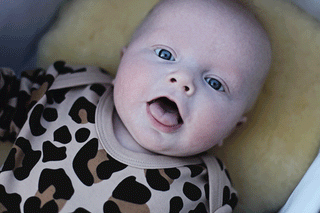 PRAM4.gif
