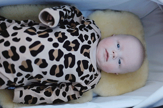 PRAM5.gif